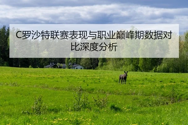 luo-sha-te-lian-sai-biao-xian-yu-zhi-ye-dian-feng-qi-shu-ju-dui-bi-shen-du-fen-xi-2-978.jpg