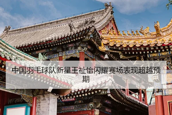 中国羽毛球队新星王祉怡闪耀赛场表现超越预期